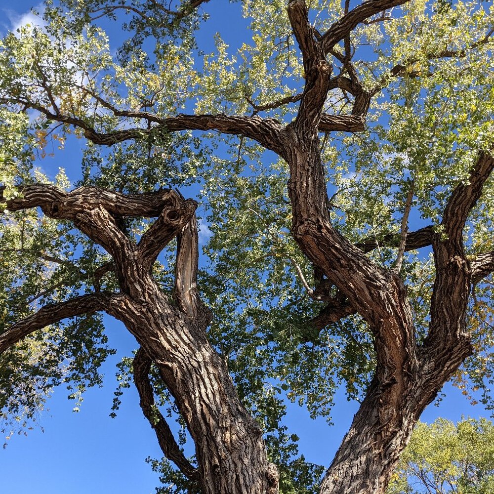 Meet your Posher, Shelley